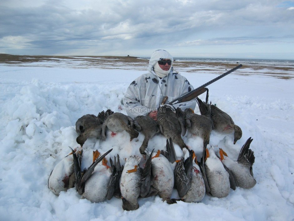 Весенняя охота на гуся на Таймыре