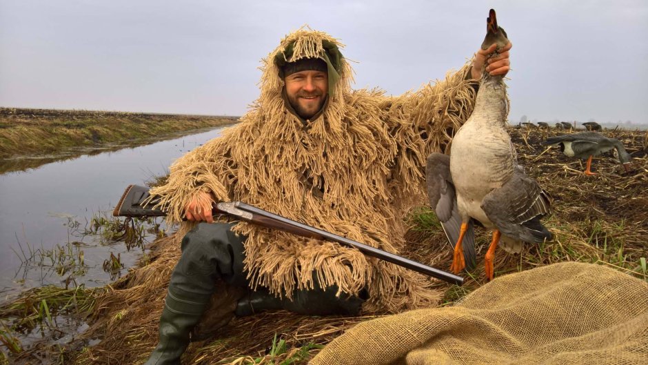 Водоплавающие птицы Рыбинского водохранилища