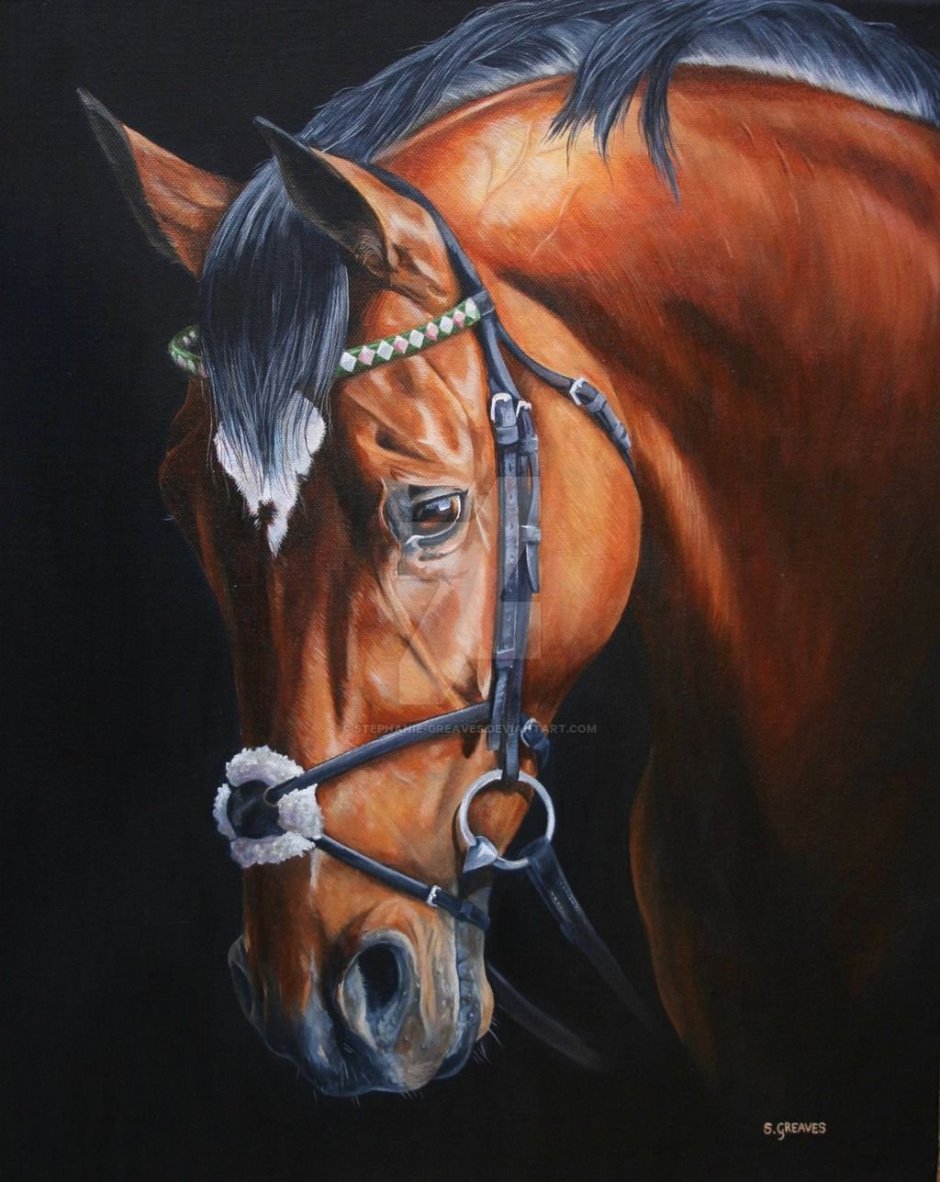 Frankel Скаковая лошадь