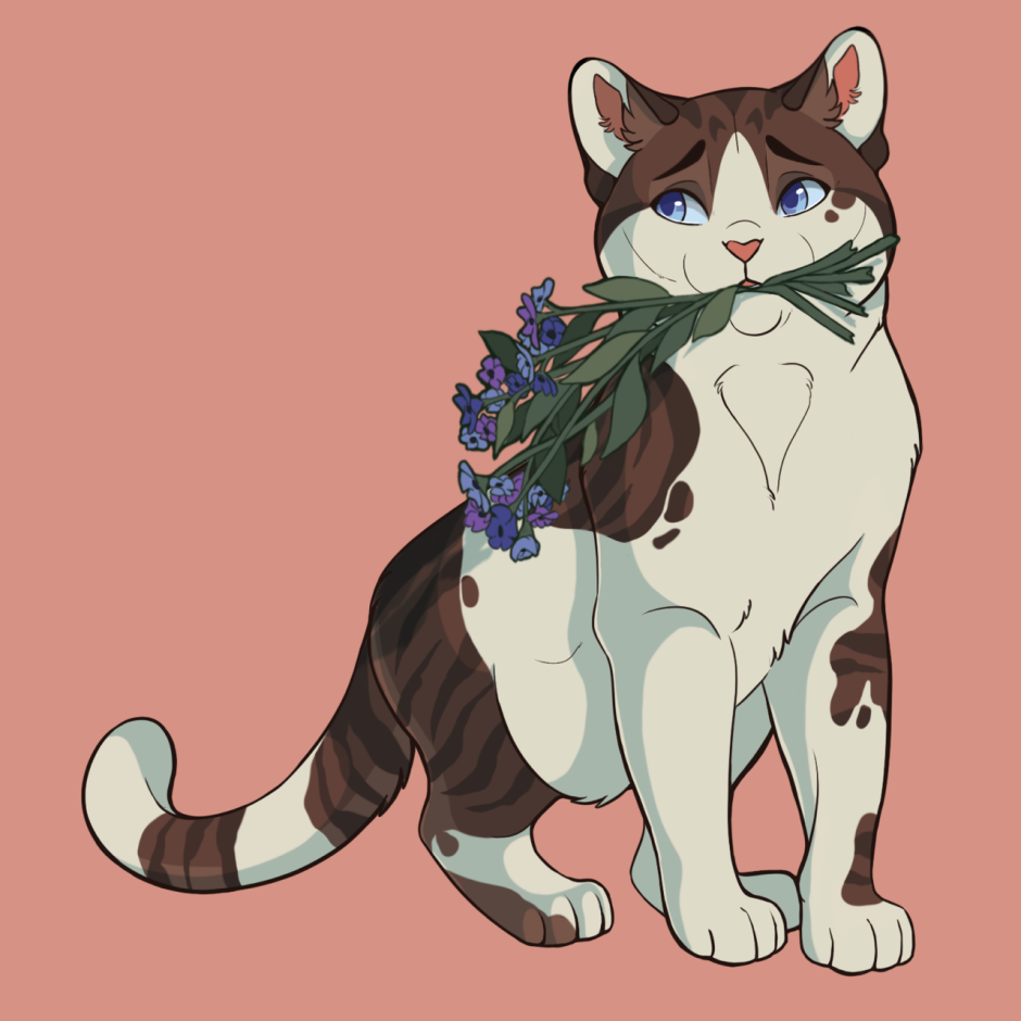 Climbdraws Warriors Cats