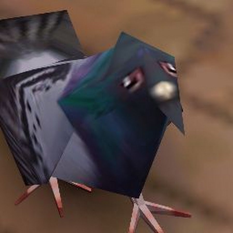 Голубь спрыгнул с крыши