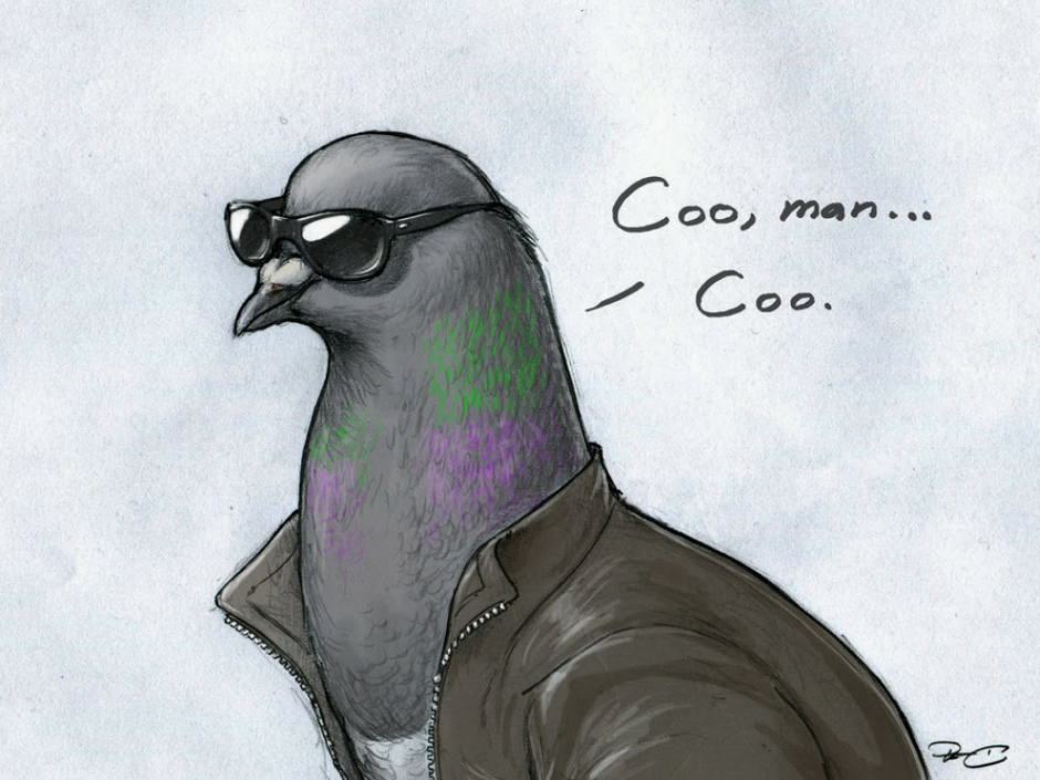 Крутой голубь в очках