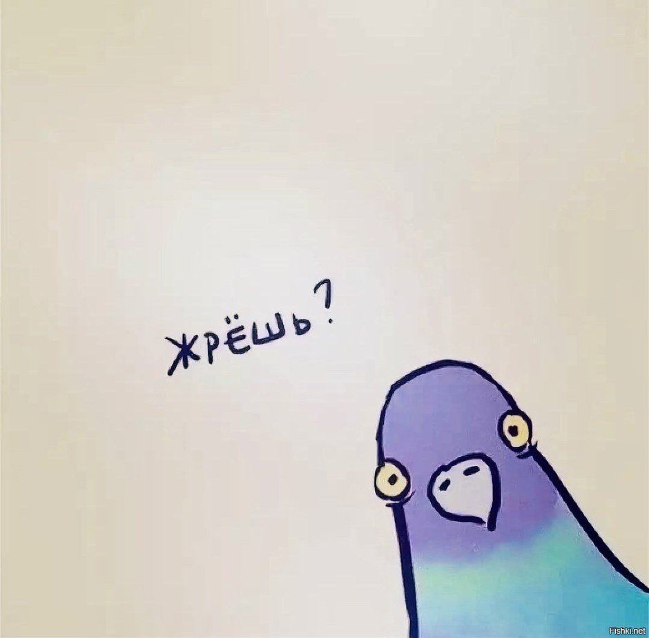 Голубь грустит