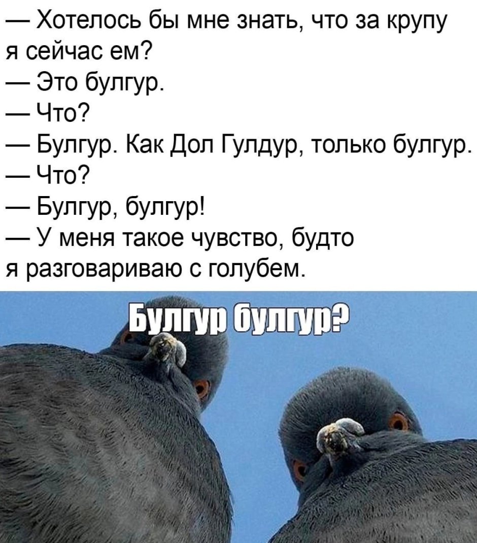 Анекдоты про голубей