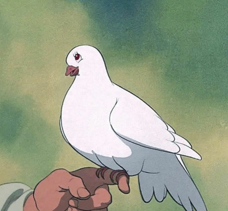 Дерзкий голубь