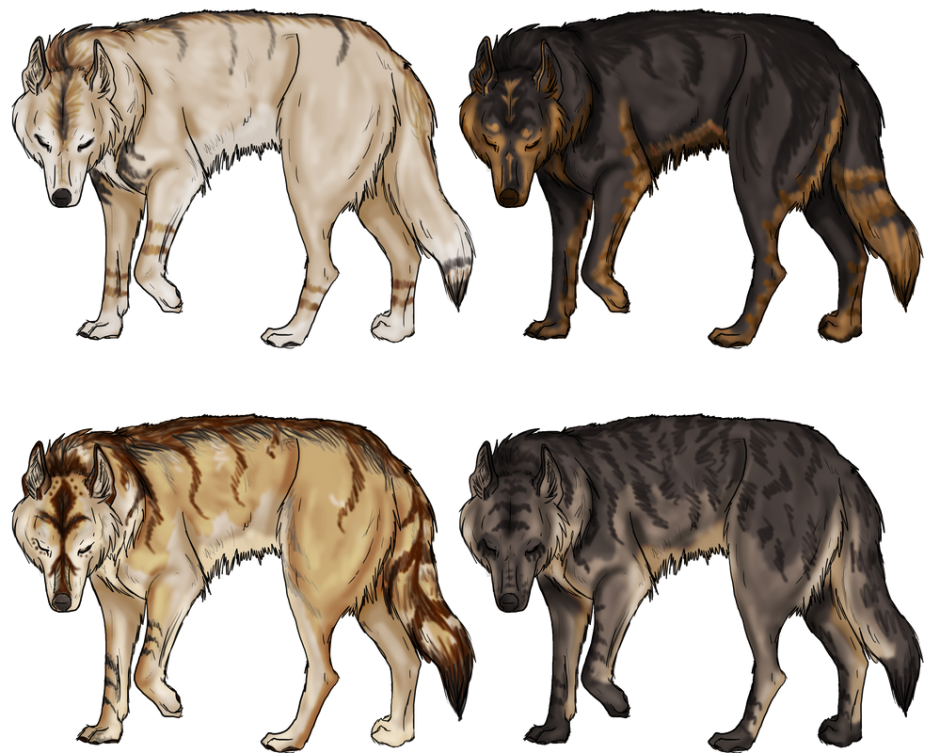 Порода чешский Волчак