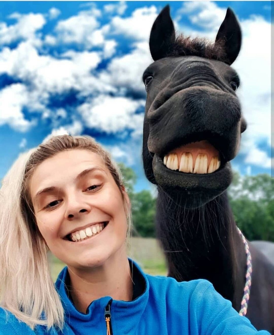 Улыбка коня