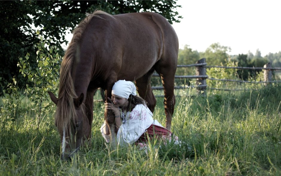 Лошадь в деревне