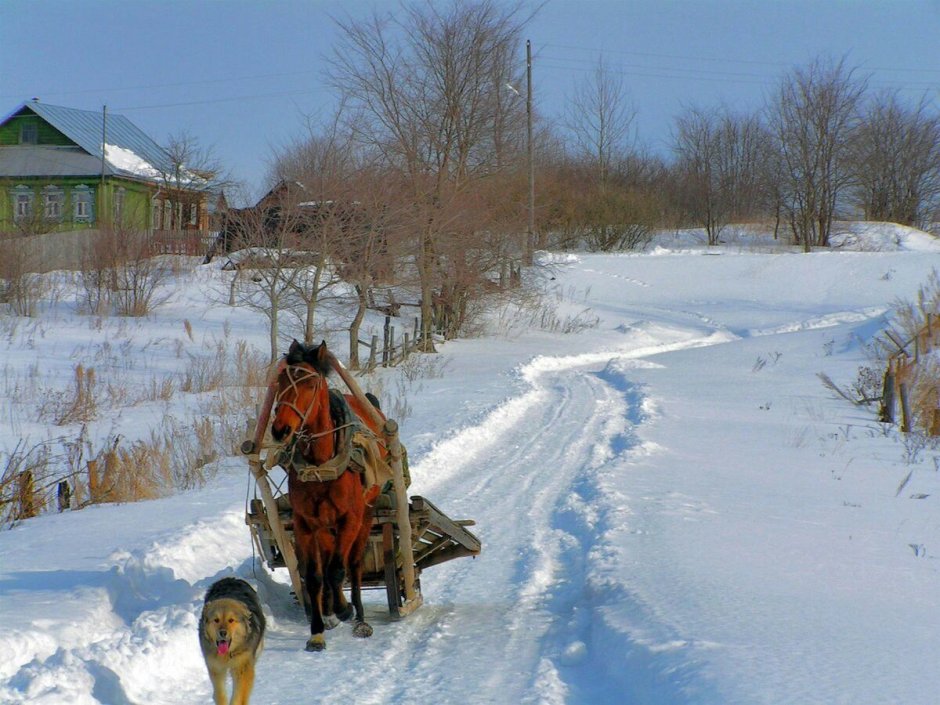 Жизнь в деревне зимой