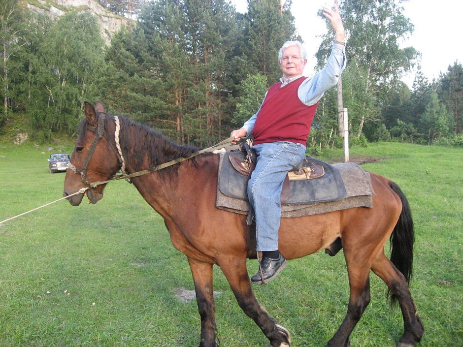 Аппалуза чубарая