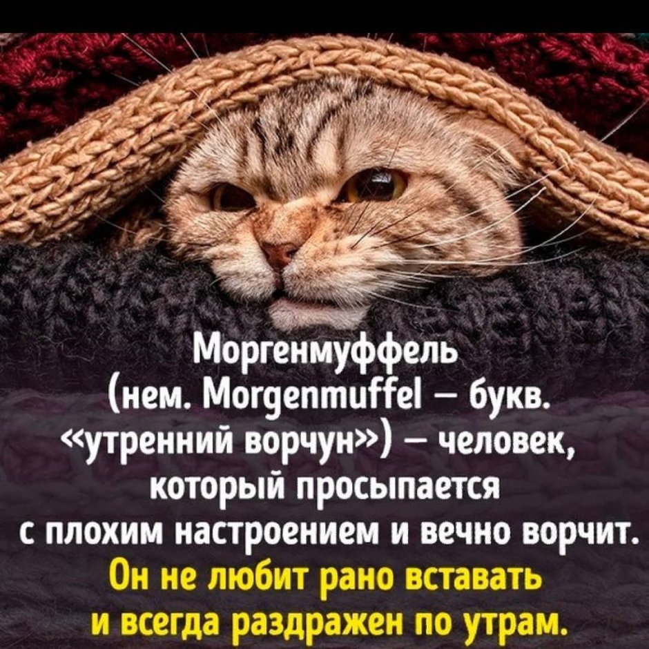 Человек который просыпается с плохим настроением