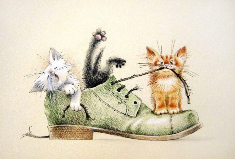 Кот и роллы рисунок