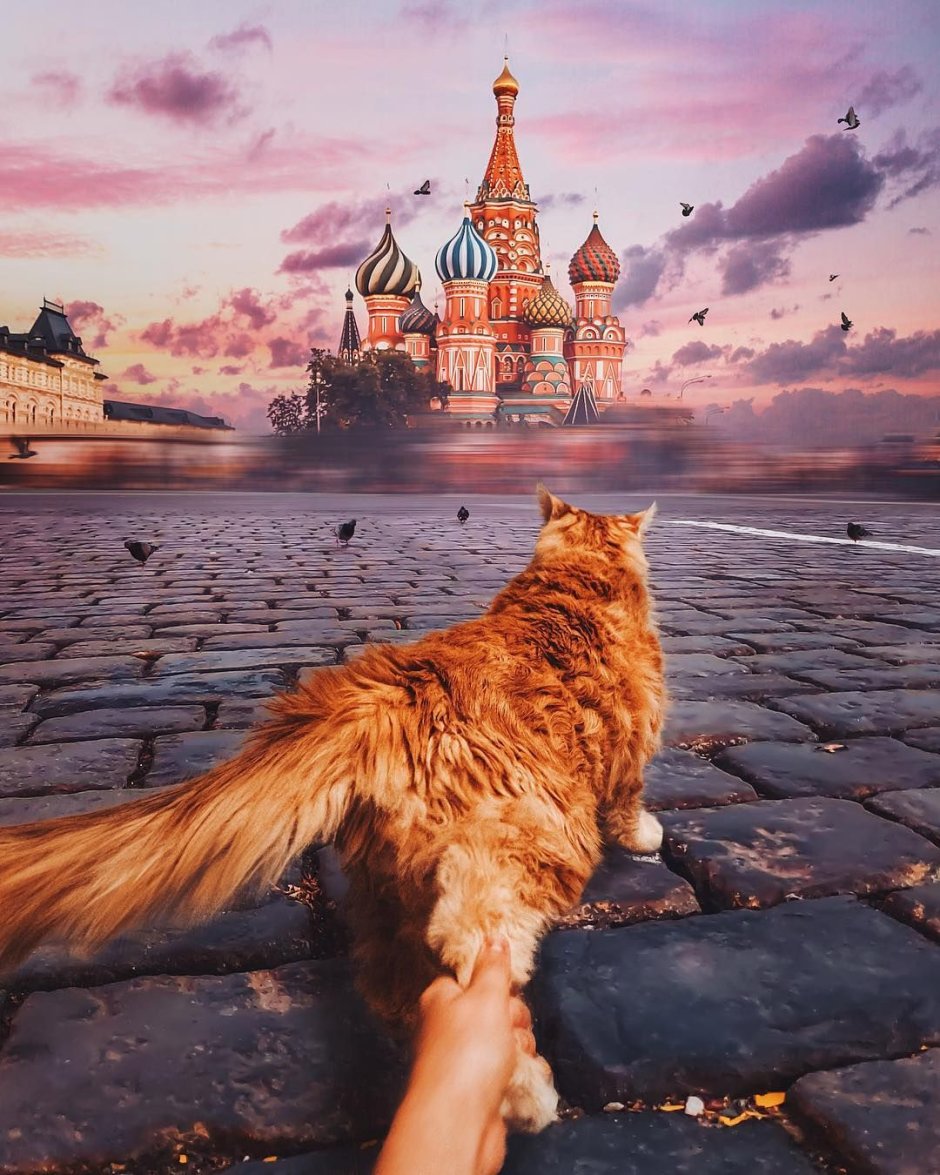 Следуй за мной