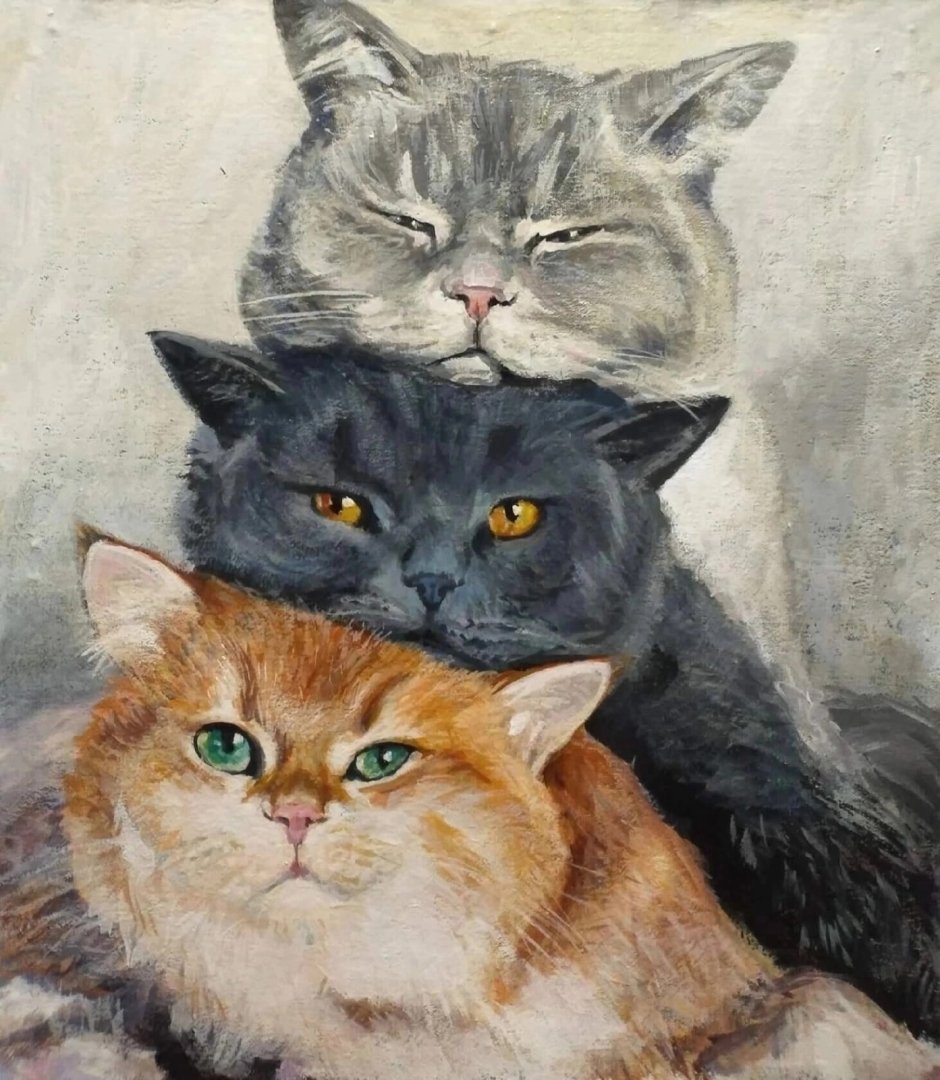 Три красивые кошки