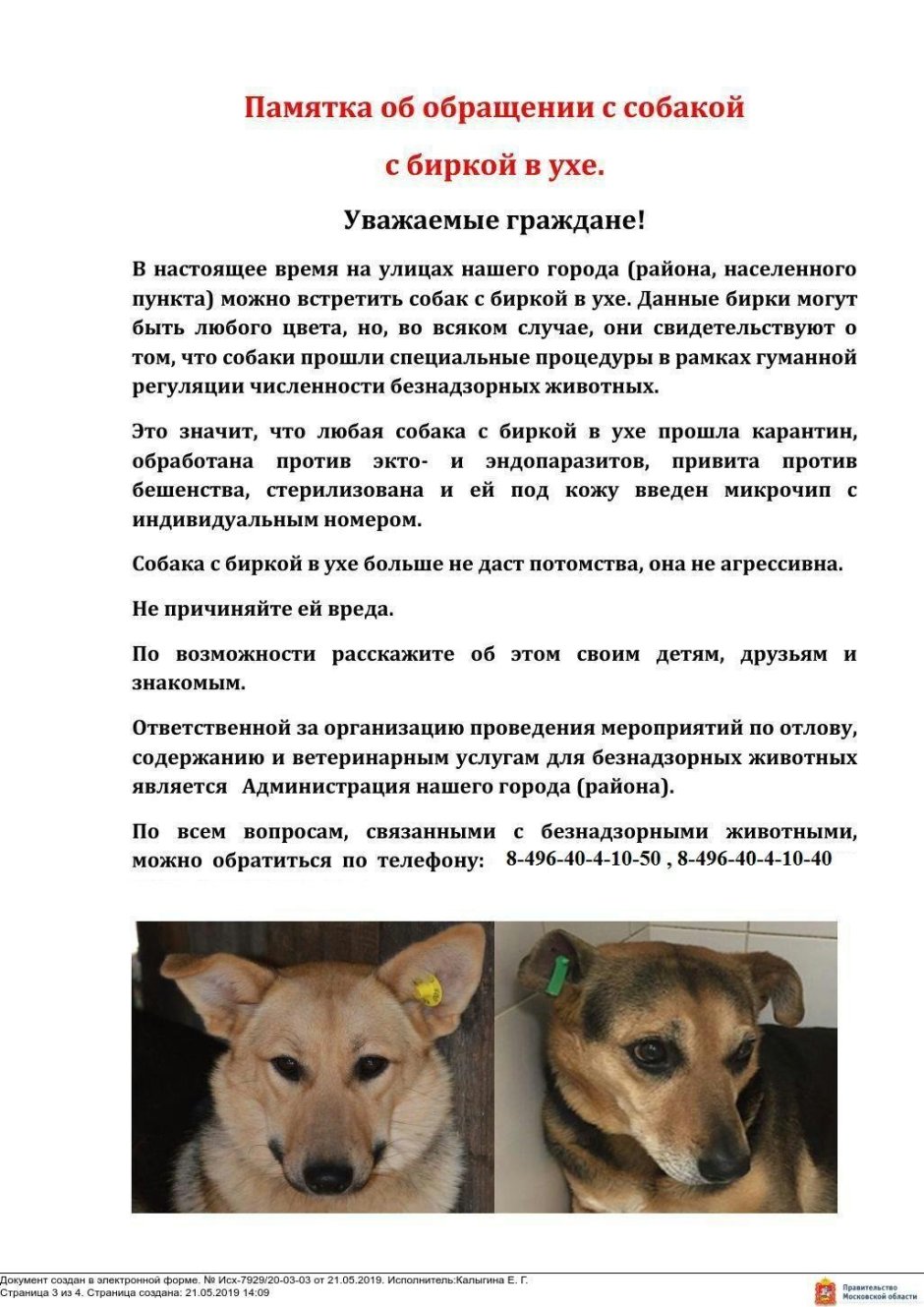 Памятка по обращению с животными