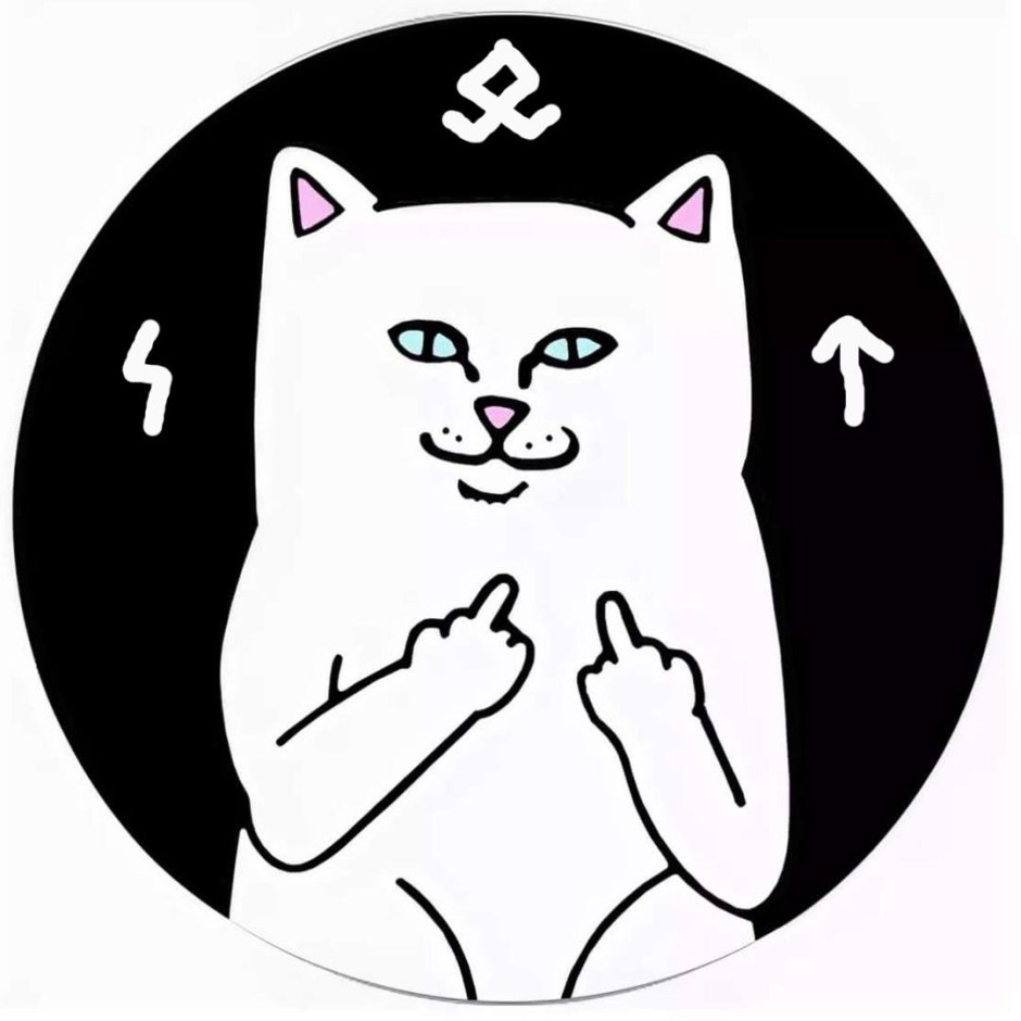 Котик черно белый рисунок