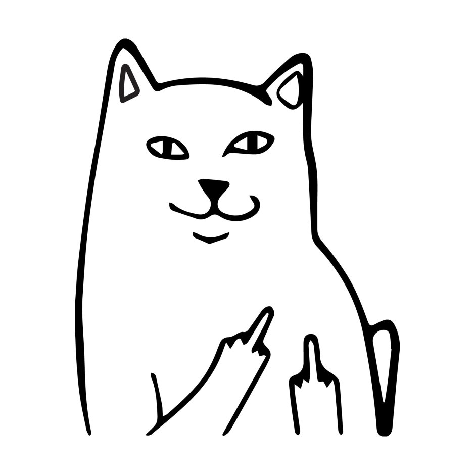 Котик с факом