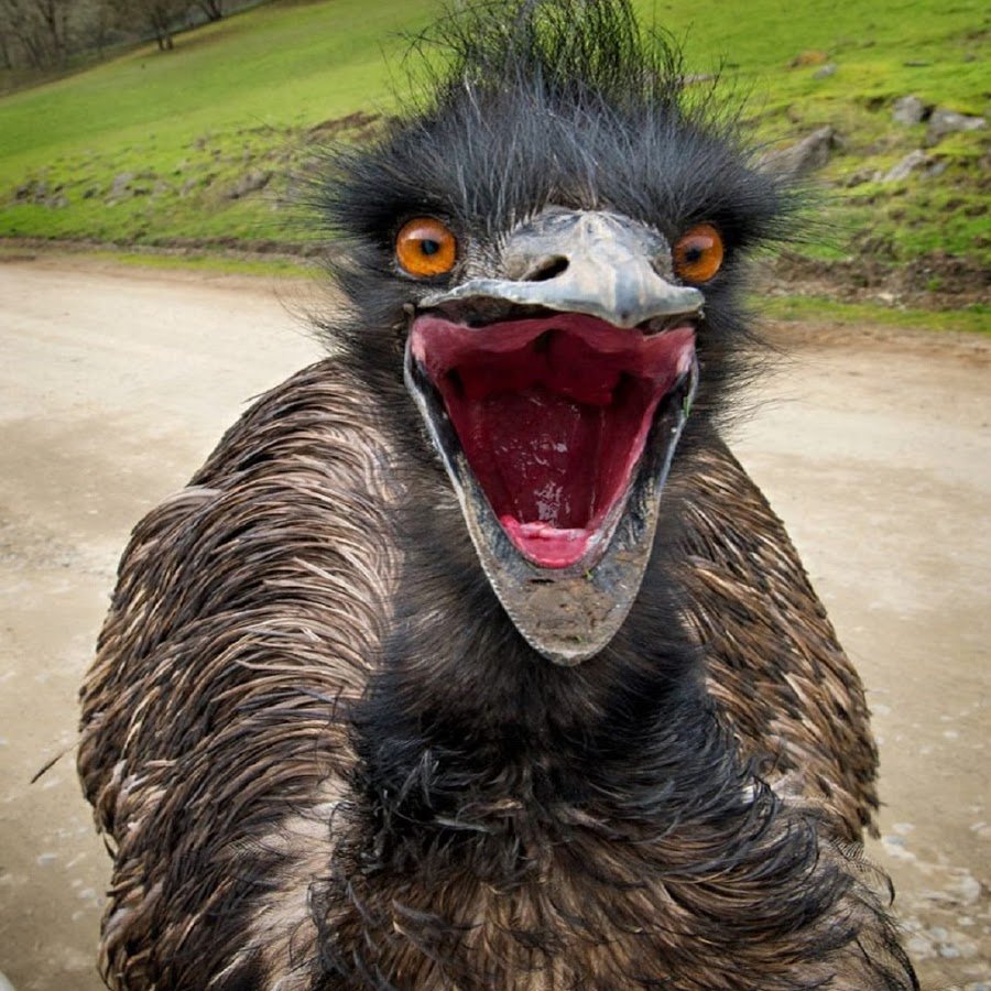 Педагог в начале года и в конце