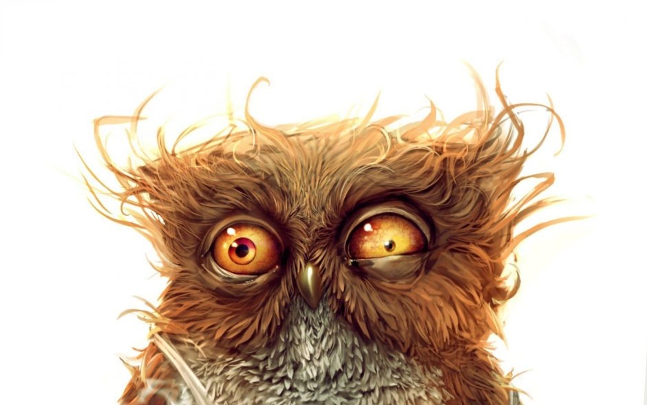 Куры с прической