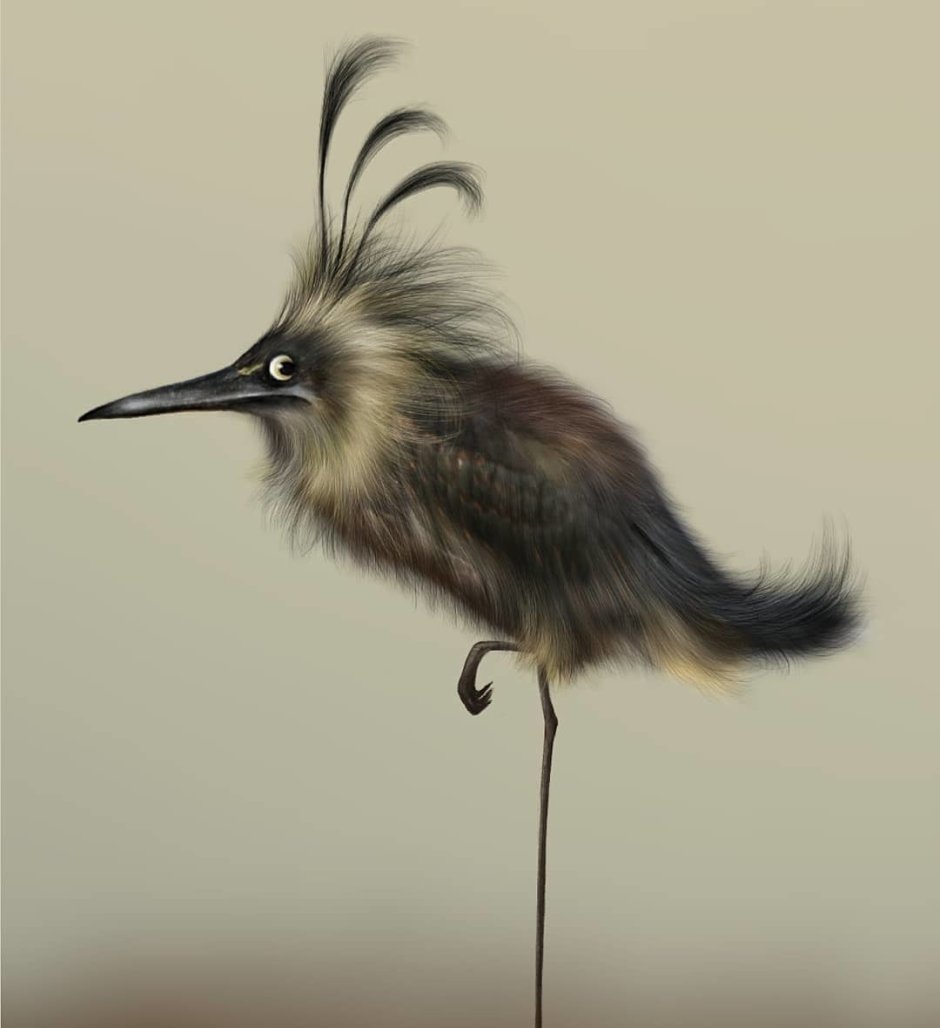 Взъерошенный петух