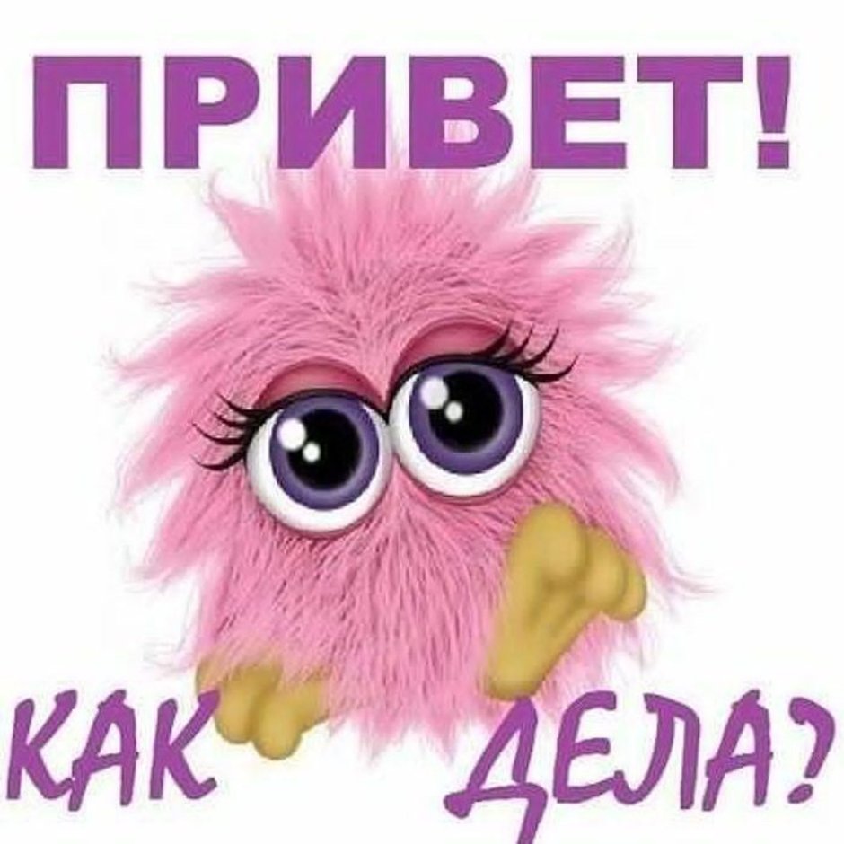 Толстая Сова