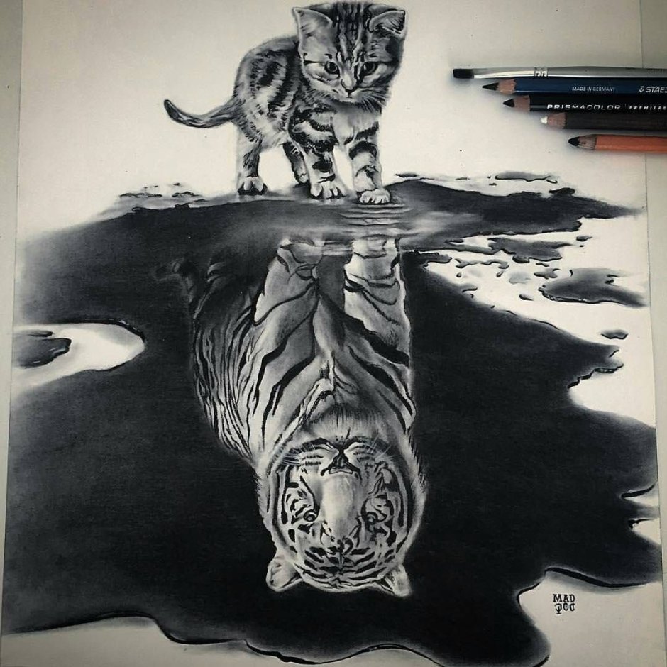 Тигр Meow