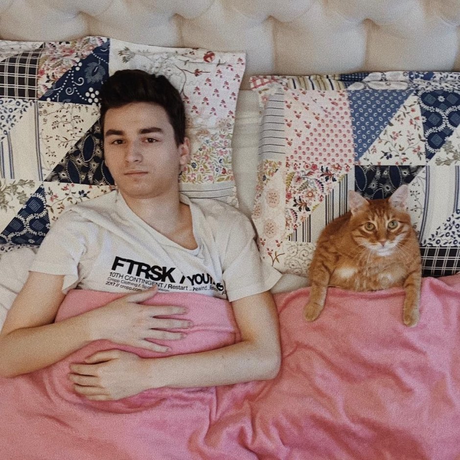 Кот Брайана