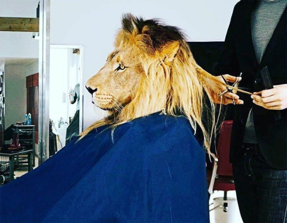 Подстриженный Лев