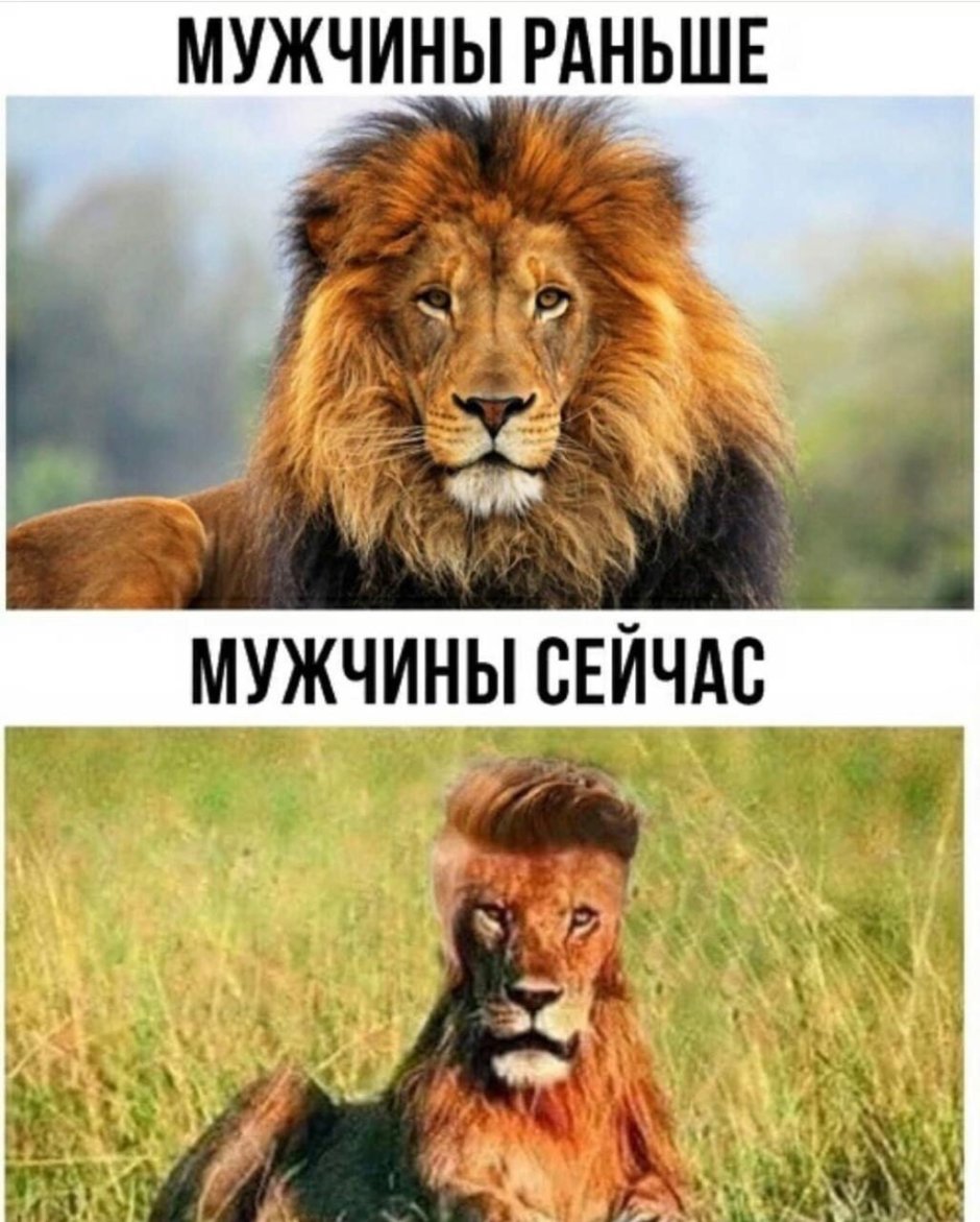 Парни раньше и сейчас