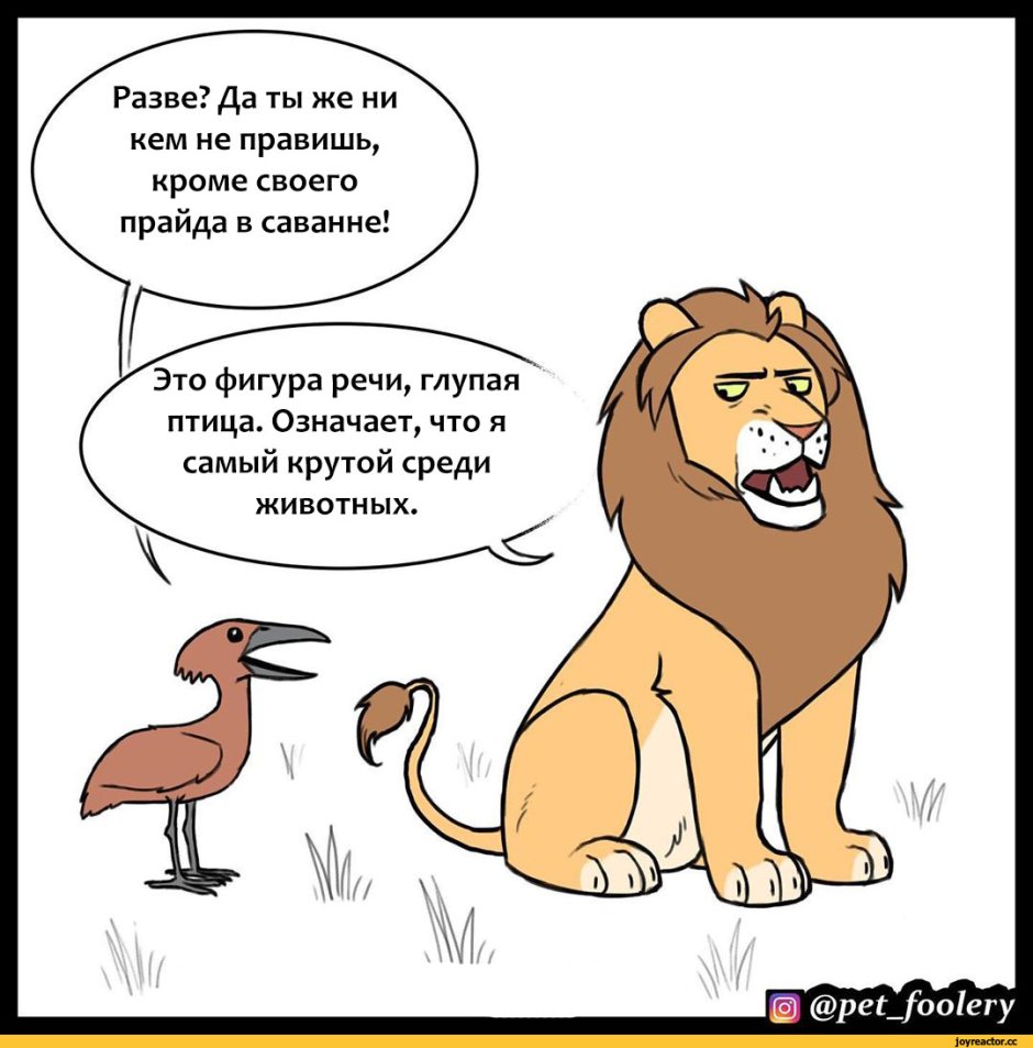 Лев цитаты