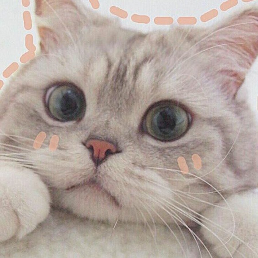 Котенок с грустными глазками