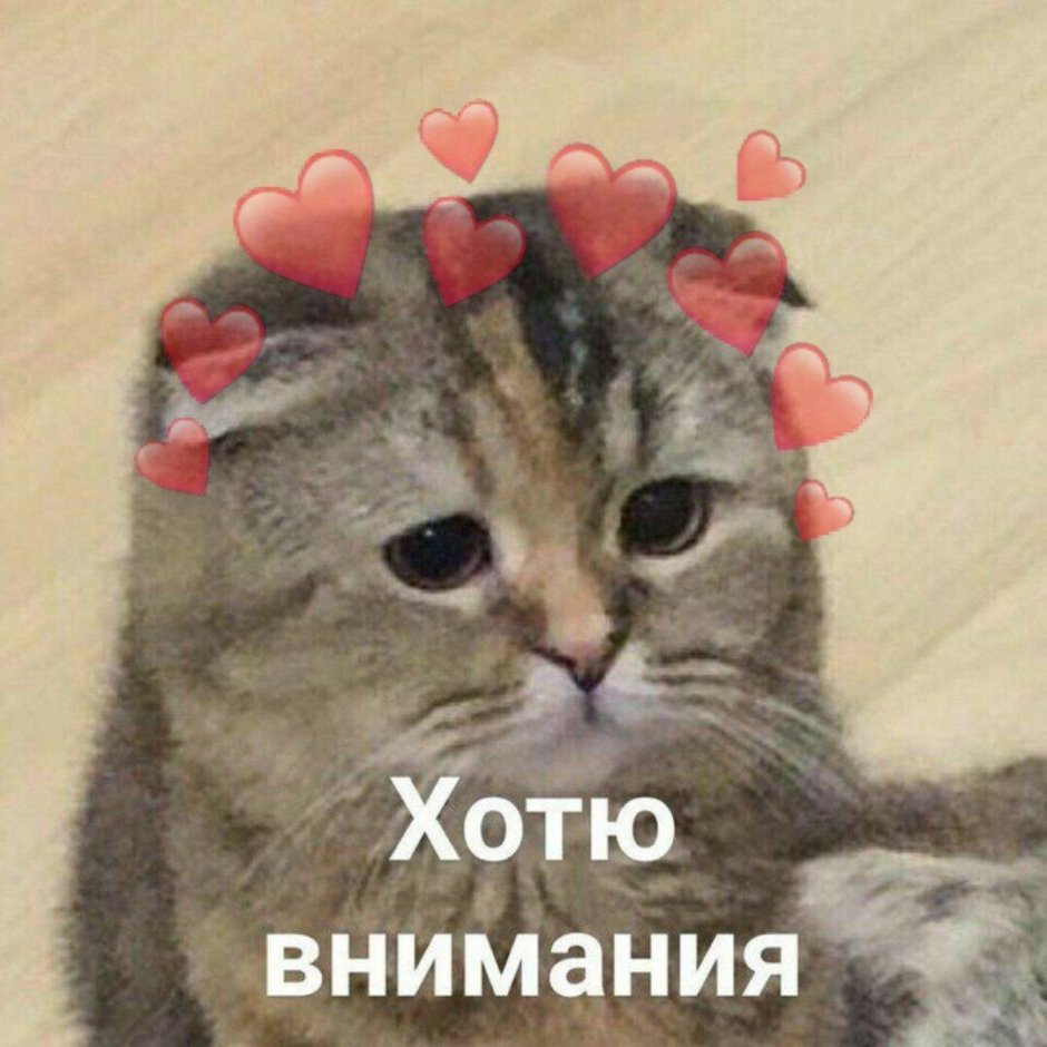 Грустный рыжий котик