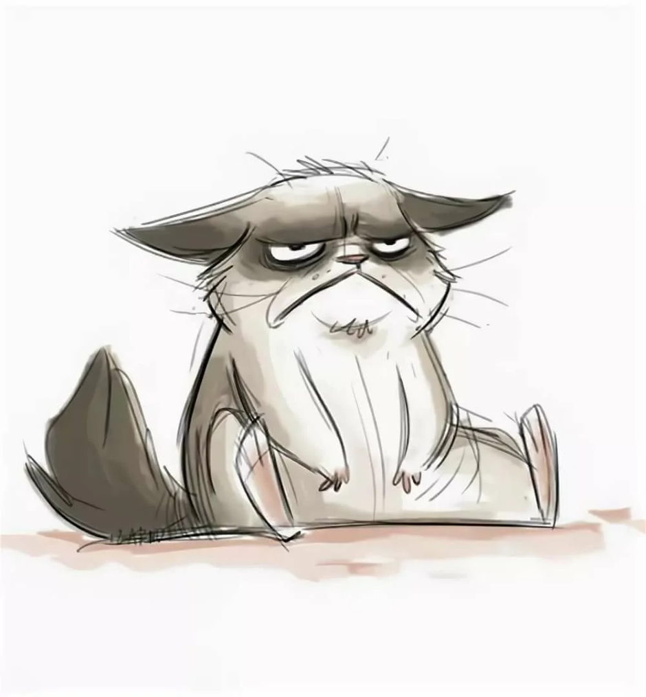 Кот с розовыми щеками