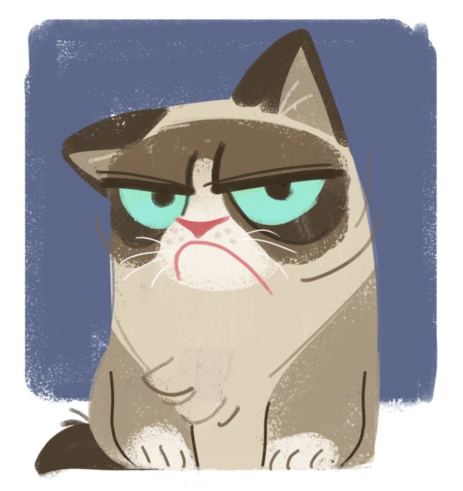 Котик грустит