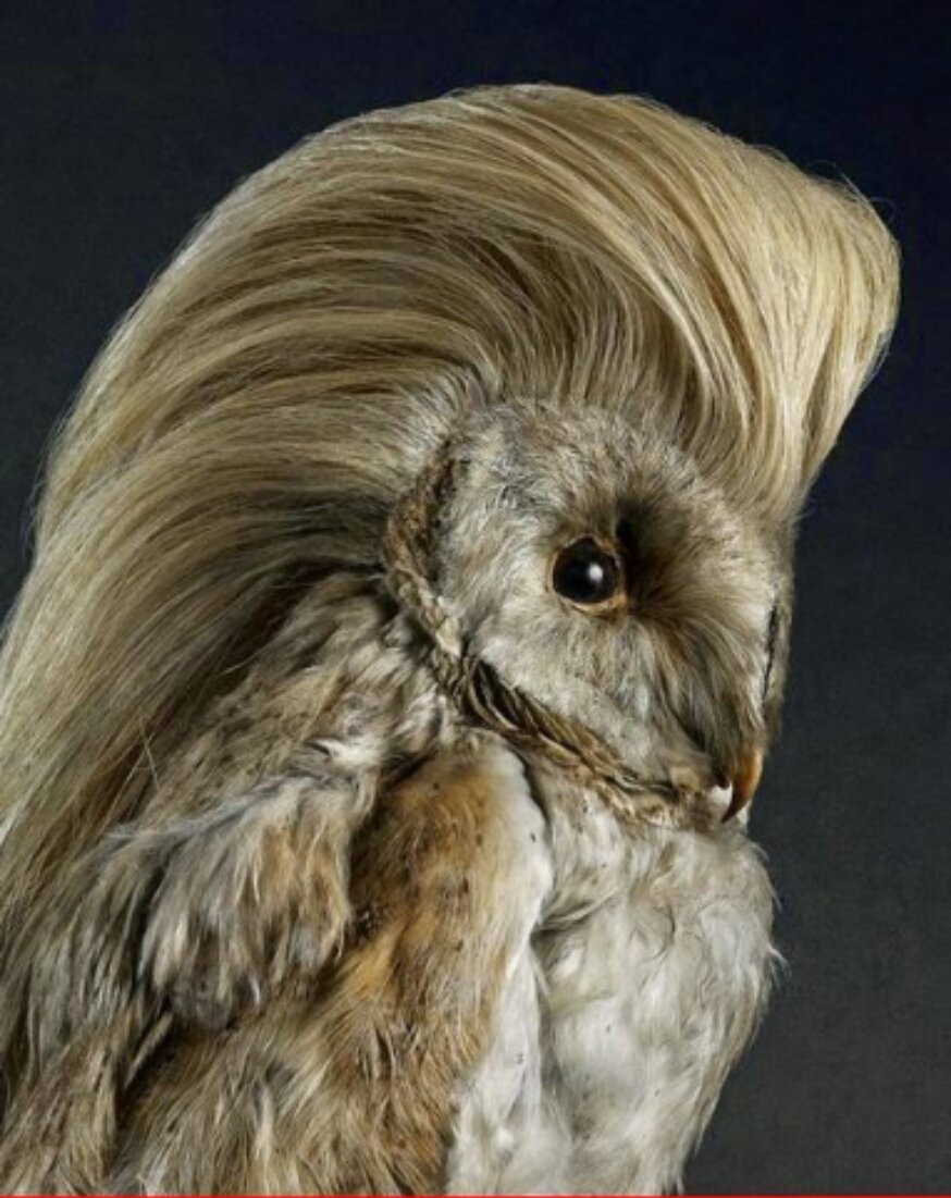 Страшная птица