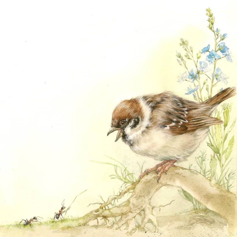 Екатерина Бородачева акварель