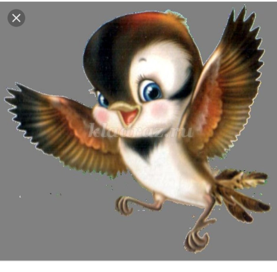 Воробей улыбается