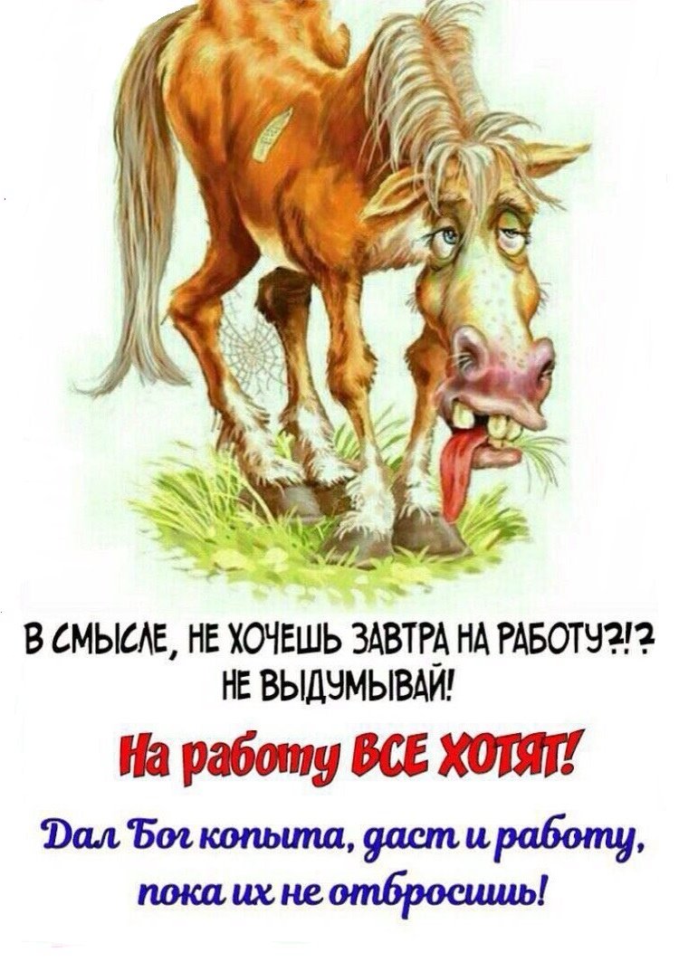 Фрейя Аллан