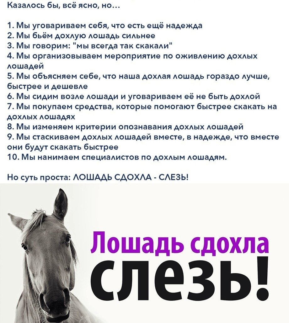 Дохлая лошадь притча