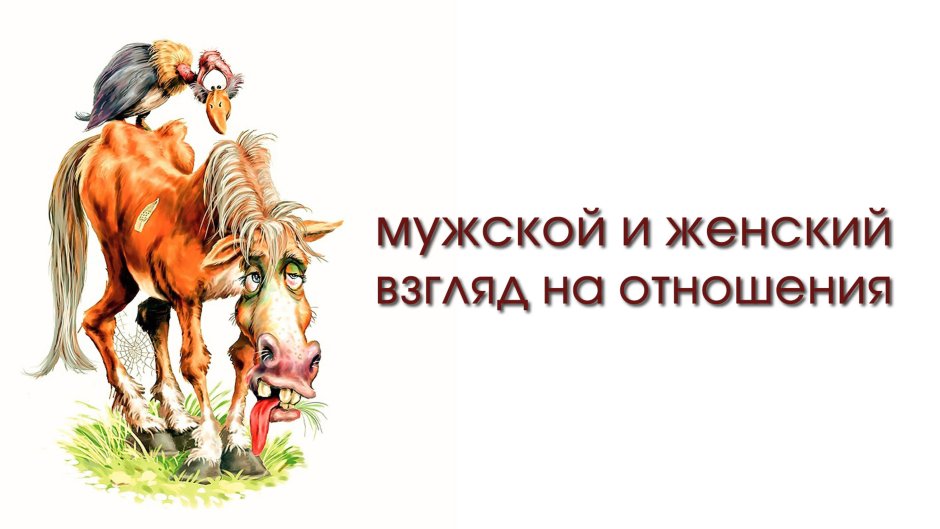 Лошадь юмор