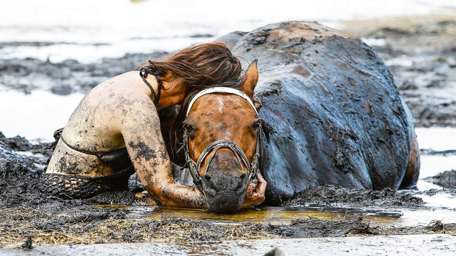 Николь Грэм и ее лошадь