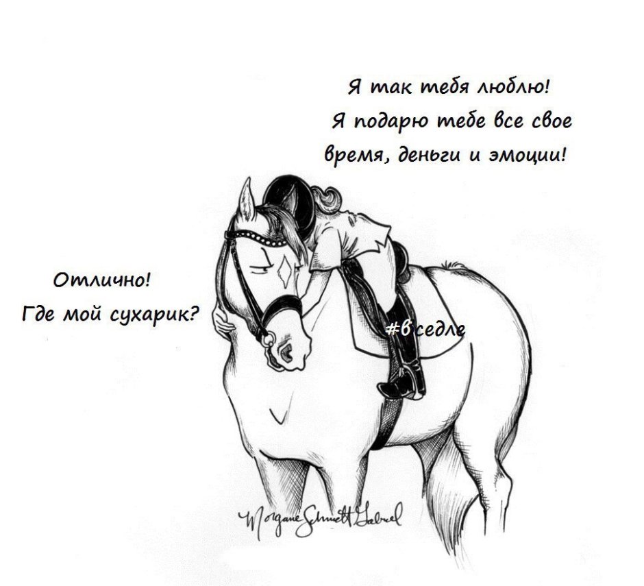 Цитаты про конный спорт