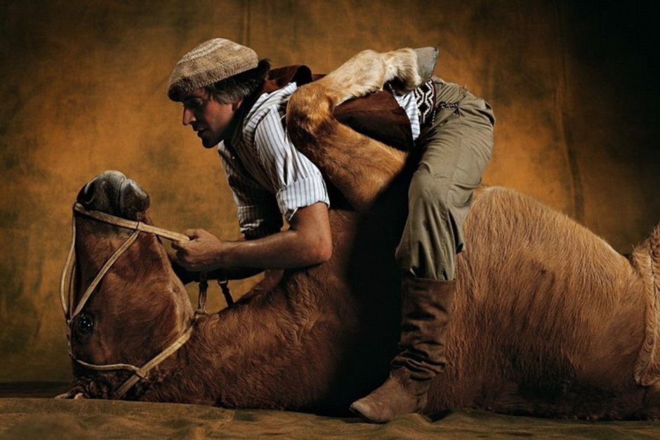 Загнанная лошадь картина