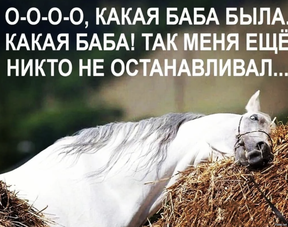 Лошадь на скаку