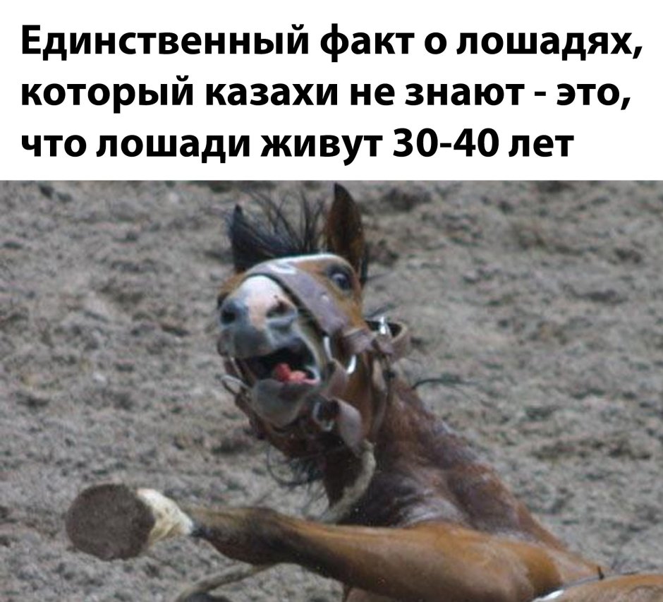 Плачущая лошадь