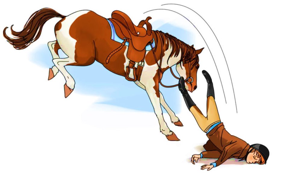 Конный клуб Алькор Хорс