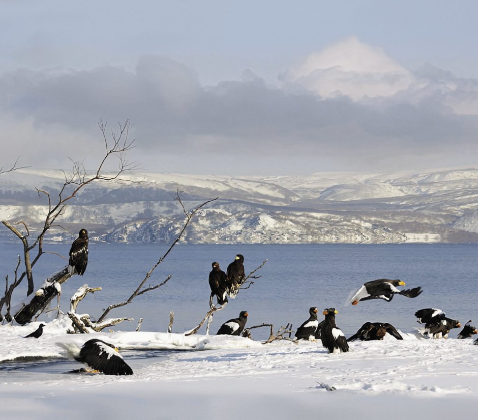 Курильское озеро Камчатка зимой