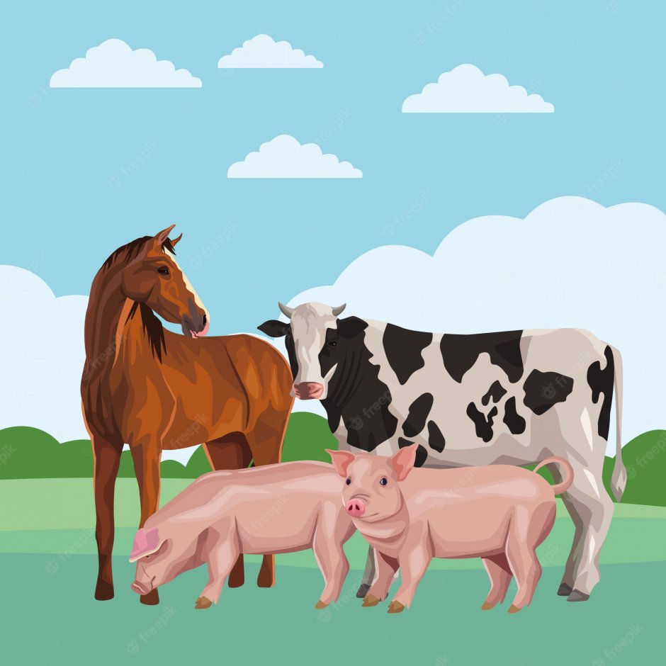 Cow and Horse