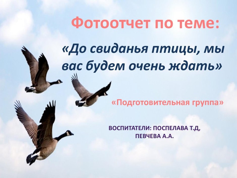 Западносибирский Стерх