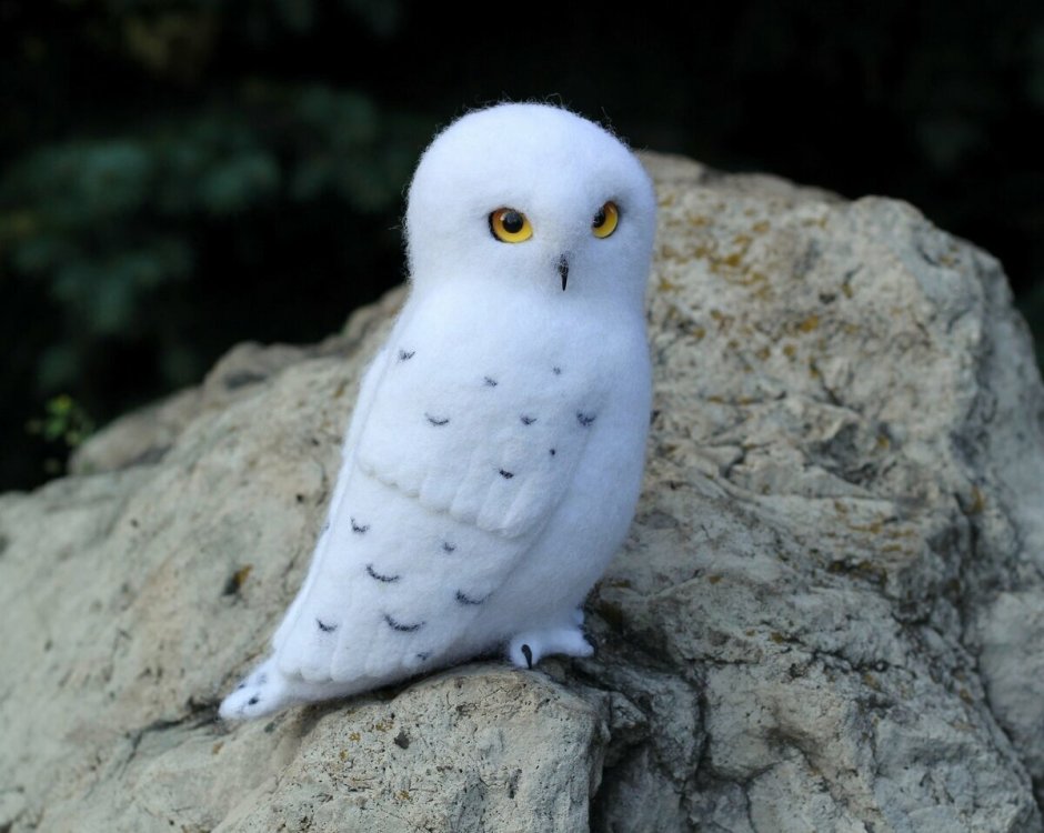 Полярная Сова с совятами